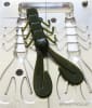 738 Tear-Craw - Image 5 of 0
