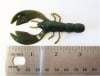 741 Craw - Image 3 of 0