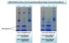 HemoVoid - Hemoglobin Variant Enrichment From Blood - Image 4 of 0