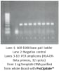 ProCipitate - Image 3 of 0