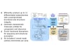 NuGel NRicher 6 (formerly NuGel PROspector) - Image 2 of 0