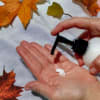 Indian Summer Shea Butter Hand and Body Lotion - Image 4 of 0