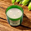 Bamboo Canopy Soy Wax Candle - Image 5 of 0