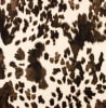 Cowhide - Image 1 of 0