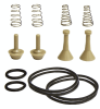 SK-6007 PROMAX RG6000 Inlet Outlet Valve Rebuild Kit (Includes Inlet / Outlet Valves and Springs, O-rings) - Image 1 of 0