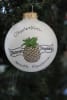 Pineapple Charleston Frosted Ball Ornament - Image 1 of 0