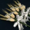 First Holy Communion Favor with Callas and Wheat - Image 2 of 0