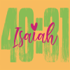 SC Comfort Isaiah 40:31 - Citrus - Image 2 of 0
