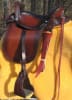 Sinclair Saddle - Image 2 of 0