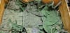 AK-47 Three Magazine Chest Rig - Image 3 of 0