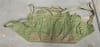 AK-47 Four Magazine Chest Rig - Image 1 of 0