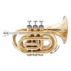 John Packer Pocket Trumpet Lacquer & Color Finishes - Image 1 of 0