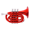 John Packer Pocket Trumpet Lacquer & Color Finishes - Image 5 of 0