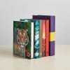 Acrimet Bookends 1 Pair, Clear Plastic Clear Crystal 290.1 - Image 5 of 0