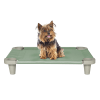 Acrimet Cooling Elevated Pet Dog Bed Cot for Small Dogs Green Color 708.1 - Image 1 of 0