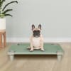 Acrimet Cooling Elevated Pet Dog Bed Cot for Small Dogs Green Color 708.1 - Image 2 of 0