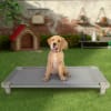 Acrimet Cooling Elevated Dog Bed, Gray Color 711.0 - Image 3 of 0