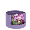 Acrimet Mix Desktop Organizer Purple 958.3 - Image 4 of 0