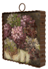 RTC Gallery Hamilton Hydrangeas - Image 2 of 0