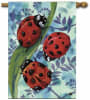 Climb by Ladybug Decorative House Flag - Image 1 of 0