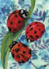 Climb by Ladybug Decorative House Flag - Image 2 of 0