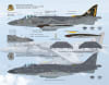 FL18001 Big Scale Harriers - Image 4 of 0