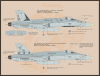 FL32003 F/A-18A/C Hornets - Image 4 of 0