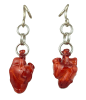 Realistic Weights - Anatomical Heart - Image 5 of 0
