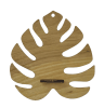 Propagation Station - Monstera Leaf - Image 1 of 0