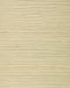 photo of White Sisal Grasscloth from Grasscloth + More - Image 1 of 0