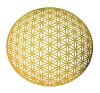 ER-YA-74-SM 72mm Flower of Life Sphere Earrings - Image 2 of 0