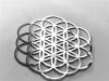 Seed of Life/ Flower of Life 3" Silver Grid - Image 1 of 0