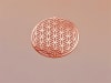 Flower of Life copper Plated 2" Grid - Image 2 of 0
