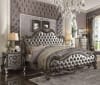 Versailles Traditional Bed in Antique Platinum Finish by Acme - 26840Q - Image 1 of 0