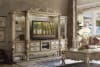 Dresden Entertainment Center in Gold Patina Finish by Acme - 91330 - Image 1 of 0
