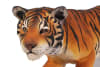Bengal Tiger Life Like in Multicolored Finish by AFD Home - AFD-10731122 - Image 3 of 0