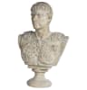 Augustus Caesar Faux Stone Bust in Stone Top Coat Finish by AFD Home - AFD-10772792 - Image 1 of 0