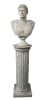 Augustus Caesar Faux Stone Bust in Stone Top Coat Finish by AFD Home - AFD-10772792 - Image 2 of 0