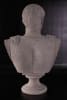 Augustus Caesar Faux Stone Bust in Stone Top Coat Finish by AFD Home - AFD-10772792 - Image 3 of 0