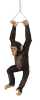 Hanging Monkey Statue Jungle Jimmy in Multicolored Hand-Painted Finish by AFD Home - AFD-11097098 - Image 3 of 0