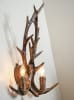Antler Wall Sconce in Mutli-Brown Finish by AFD Home - AFD-11276820 - Image 2 of 0