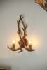 Antler Wall Sconce in Mutli-Brown Finish by AFD Home - AFD-11276820 - Image 5 of 0
