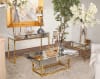 Striazza Coffee Table in Gold Trim Finish by AFD Home - AFD-11277099 - Image 3 of 0
