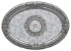 Petite Oval Ceiling Medallion in Antique Silver Finish by AFD Home - AFD-12013957 - Image 1 of 0