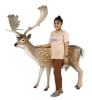 Fallow Deer Buck in Hand-Painted Multicolored Finish by AFD Home - AFD-12017079 - Image 3 of 0