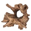 Random Teak Forest Specimens Planters Bases in Natural Finish by AFD Home - AFD-12018058 - Image 1 of 0