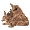 Random Teak Forest Specimens Planters Bases in Natural Finish by AFD Home - AFD-12018058 - Image 2 of 0
