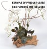 Random Teak Forest Specimens Planters Bases in Natural Finish by AFD Home - AFD-12018058 - Image 4 of 0