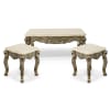 Platine 3 Piece Lion Coffee Table Set with Marble Top by AFD Home - AFD-12021174 - Image 1 of 0