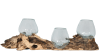 Triple Glass Bowl On Wood in Natural Driftwood by AFD Home - AFD-12023275 - Image 1 of 0